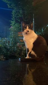 Refugio Hostel Fortaleza