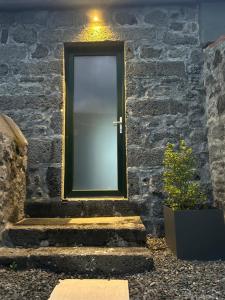 Cá Por Casa Pico-Criptoméria