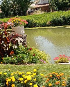 MARAIS POITEVIN Gîte Nature et Serein Vue imprenable sur la rivière Calme absolu Idéal pour familles couples voyageurs
