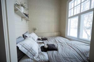 Nostalginen Vaihdemiehen Tupa