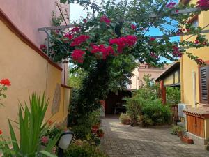 I Due Ciuchini Sardinia img20