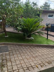 I Due Ciuchini Sardinia img17