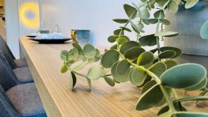 Premium City Escape - Bright Apartments by SunLake Residence