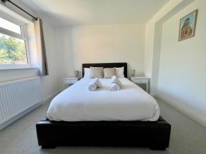 Olive Tree Brighton-Bright & Spacious 4 bedroom home with Garden & Free parking