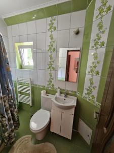 Pensiunea Baron Aliando