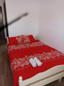 Pensiunea Baron Aliando