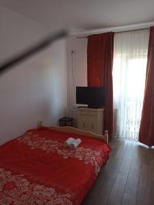 Pensiunea Baron Aliando