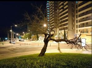 Casa da Teresa Lisboa