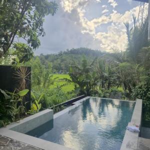 The Salty Mango Villa