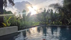 The Salty Mango Villa