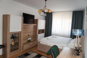 Cazare Medias, apartament modern