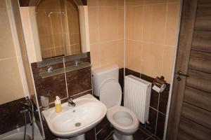 Cazare Medias, apartament modern