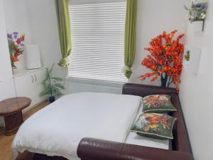 cozy & stylish one bedroom apartment