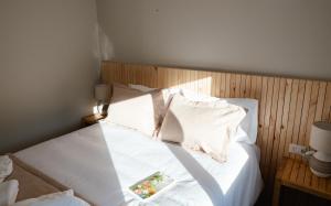 Refugio Andino Los Queñes