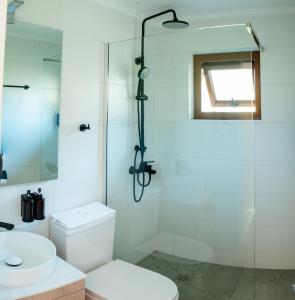 Refugio Andino Los Queñes