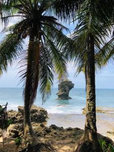 Villa EKA by Villas Tucan Cocles