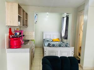 Spurmall, Ruiru, Ashke Gardens, Gwakairo