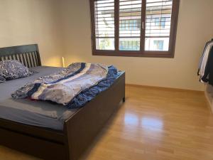 Shared apartment with private rooms