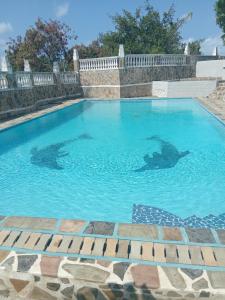 Mama Africa Village Villas & Bunglows