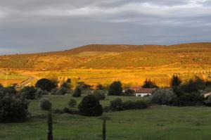 La Cigale - Climatisation - proche mer - Calme