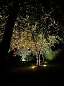 Verde Land - Drewniany domek na wsi