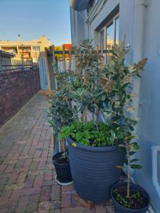 KUSVAALBOS SELFSORG WOONSTEL