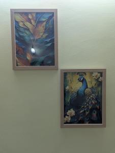 Ocean Park Haven Apartments