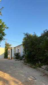 Tenda campismo 47 A Retiro dos sonhos