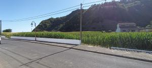 Casa do Faial da Terra