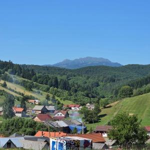 Complex Dealu Frumos