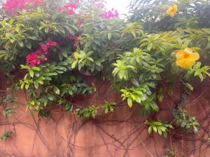 Takasira Appart Hotel centre ville