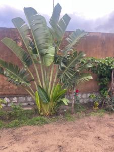 Takasira Appart Hotel centre ville