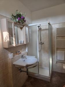 Azienda Agricola Polveraia