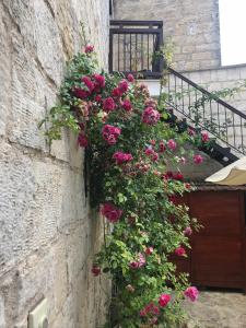 Villa Saint George - Stone Costa