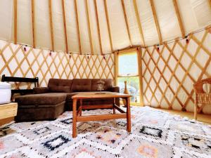 Sky Nest Glamp-Unplug-Reconnect