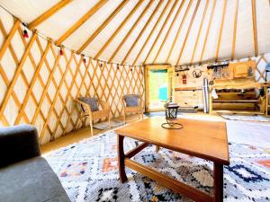 Sky Nest Glamp-Unplug-Reconnect