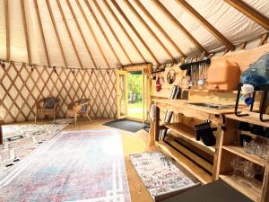 Sky Nest Glamp-Unplug-Reconnect