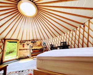 Sky Nest Glamp-Unplug-Reconnect
