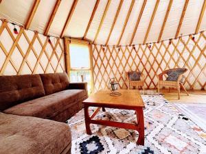 Sky Nest Glamp-Unplug-Reconnect