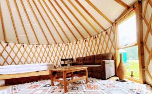 Sky Nest Glamp-Unplug-Reconnect