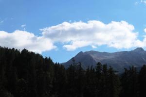 Résidence Orr Des Forets - 87 Orrianes des forets MAE-0534