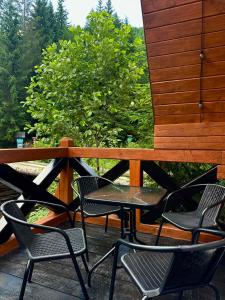 Під озером Синевир 2