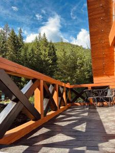 Під озером Синевир 2