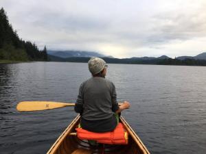 Dreaming SkyLake Yurt Waterfront