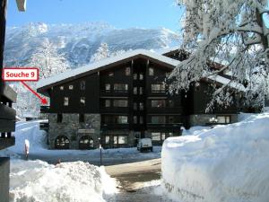 Résidence Souche - La Souche 10 - Agréable 2 pièces, terrasse skis aux pieds MAE-5114