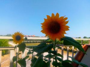 Camera doppia in affitto con bagno privato Interno