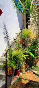 Alojamientos La Martina