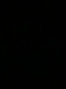 Casa em Setenta e Tres Cidade Nova