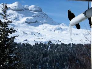 Résidence Belier - Appartement confortable · Au pied des pistes · WIFI gratuit et illimité · Terrasse MAE-7374