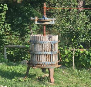 B&B Nonna Iolanda img32